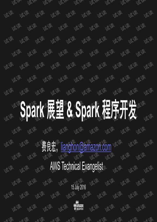 Spark技術展望與應用開發 云計算巨擘AWS資深顧問的專業洞見